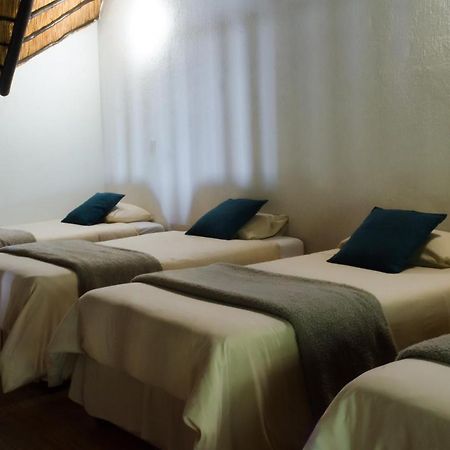 נלספרויט Pensao Guest Lodge מראה חיצוני תמונה